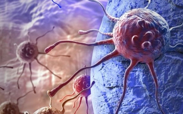 Uzmanı Ölmez, kanserle ilgili doğru bilinen yanlışları söyledi