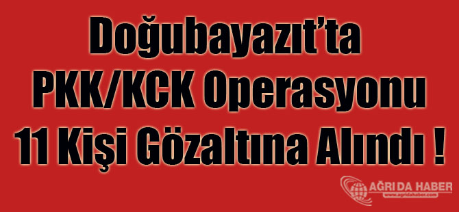 Doğubayazıt'ta 11 kişi gözaltına alındı !