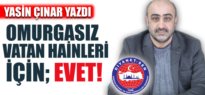 Yasin Çınar : Omurgasız Vatin Hainleri İçin; Evet!