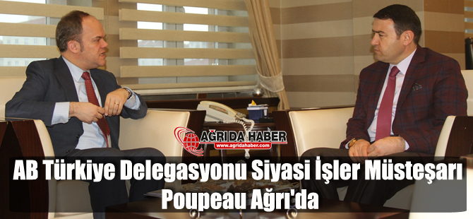 AB Türkiye Delegasyonu Siyasi İşler Müsteşarı Poupeau Musa Işın'ı Ziyaret Etti