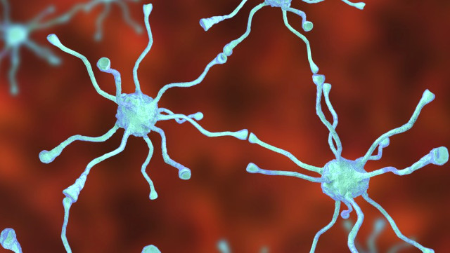 Parkinson Hastalığı için umut veren ilerleme