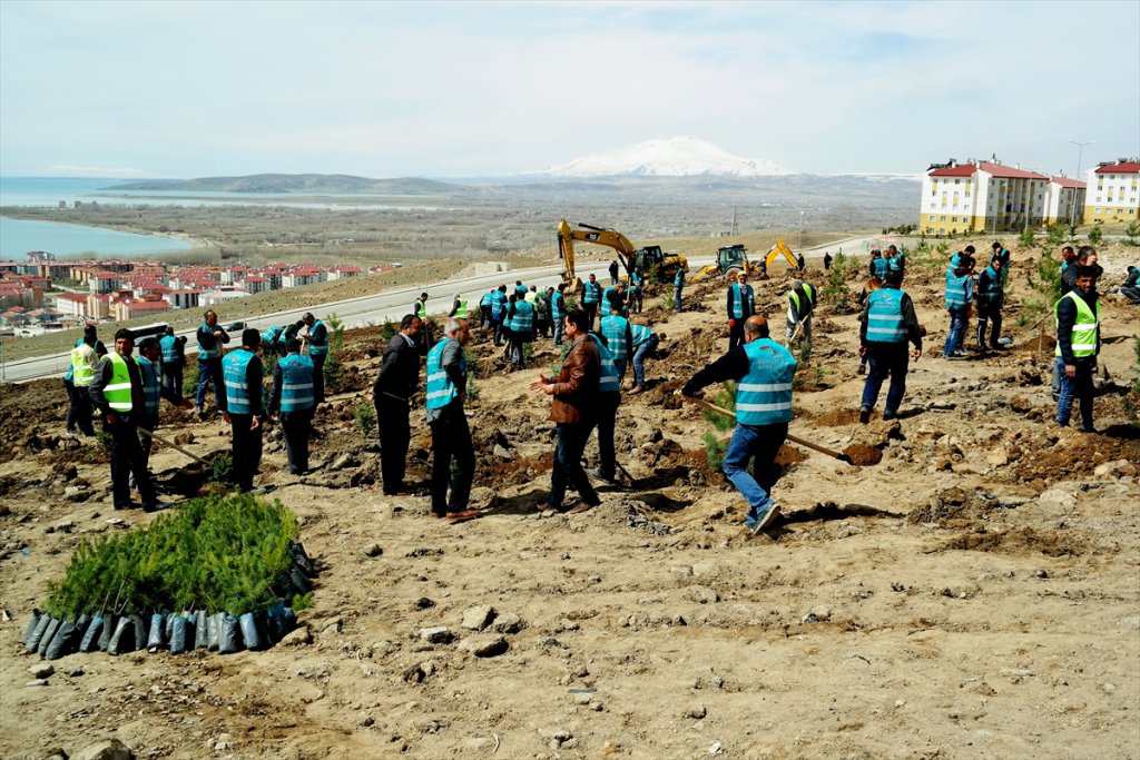 Erciş'te Fidan Dikimi