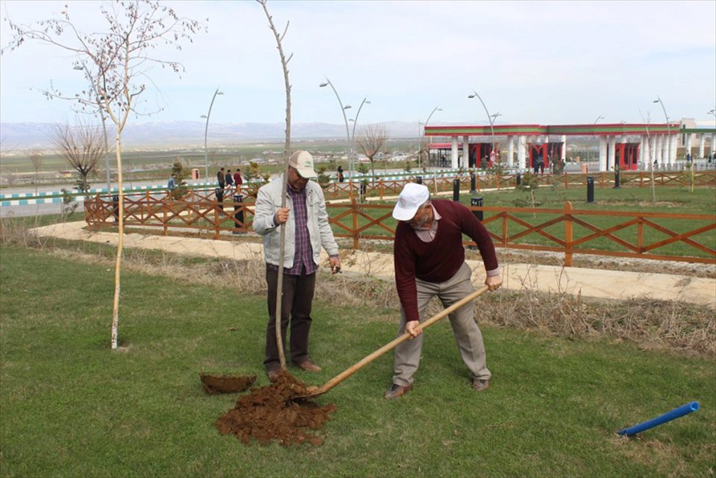 Mşü'de Peyzaj Çalışması