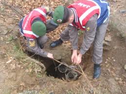 Kars'ta Kaçak Kazı Operasyonu Düzenlendi !