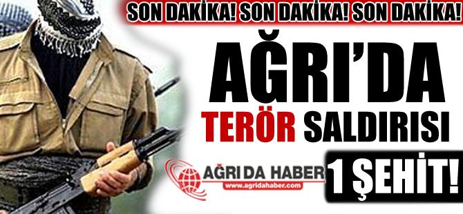 Son Dakika! Ağrı'da Terör Saldırısı 1 Şehit!