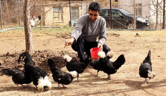 Beşiktaş Sevgisi neler yaptırıyor