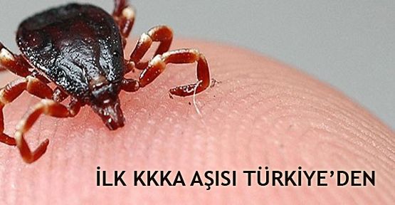 Türk Bilim Adamları Kırım Kongo Kanamalı Ateşi (KKKA) Aşısını buldu