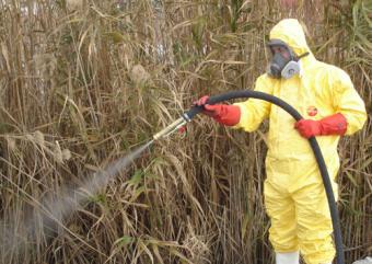 Sivrisinekle Mücadelenin Yeni Yöntemi !