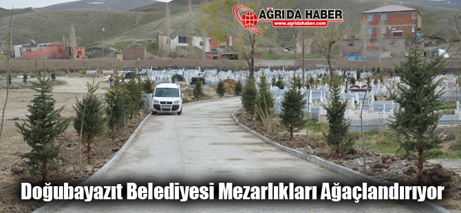 Doğubayazıt Belediyesi Mezarlıkları Ağaçlandırıyor