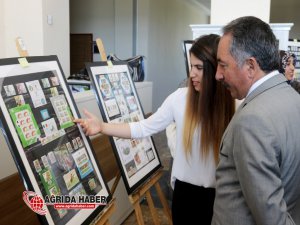 A.İ.Ç.Ü'de Olimpiyat ve Dünya Kupası Pulları Sergilendi