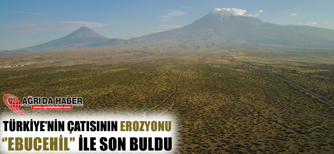 'Türkiye'nin Çatısı'nın Erozyonu 'Ebucehil' ile Son Buldu