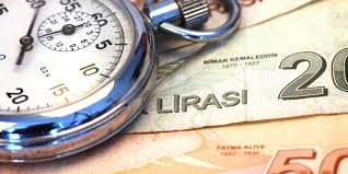 Evcil Hayvanlar Yıllık 150 Tl'ye Sigorta Güvencesinde