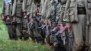 Terör Örgütü Pkk'ya Yaz Darbesi !