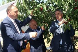 Elazığ'da 'Kiraz Hasat Şenliği'