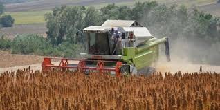 Astronotların Besin Kaynağı 'Kinoa' Bingöllü Çiftçiye Umut Oldu !