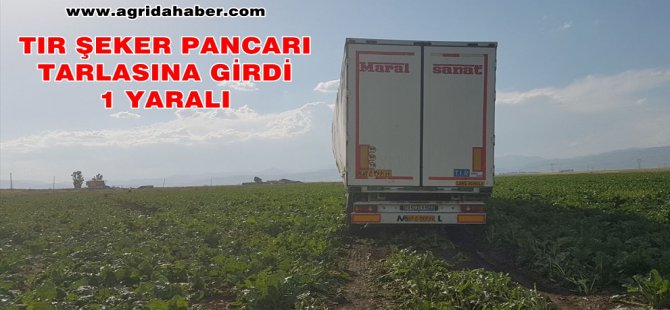 Şeker Pancarı Tarlasına giren Tır'ın Sürücüsü yaralandı