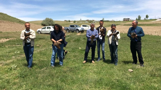 Tedavisi Tamamlanan Yaban Hayvanları Doğaya Bırakıldı
