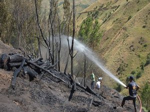 Van'da Ormanlık Alanda Yangın Çıktı