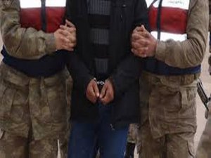 Hakkari'de Bir Terörist Sahte Kimlikle Yakalandı