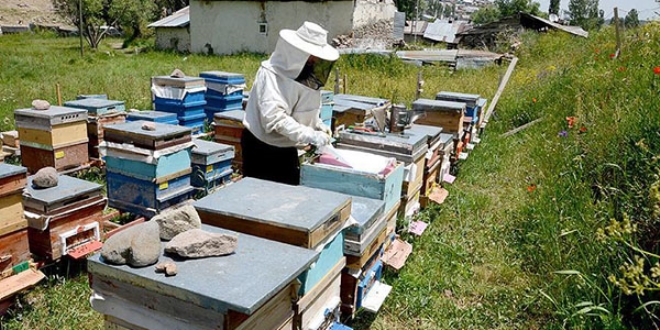 Sıcak Hava Arıcıları Da Vurdu