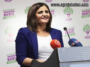 HDP'li Ağrı Milletvekili Dirayet Taşdemir Atatürk Havalimanı'nda gözaltına alındı