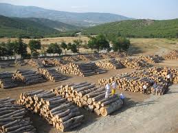 Sarıkamış Soğuksu Orman Deposu Turizme Kazandırılacak