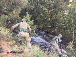Bitlis'teki Terör Operasyonunda Gelişme