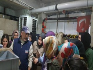 Keban'daki Aşılama Çalıştayı Son Buldu