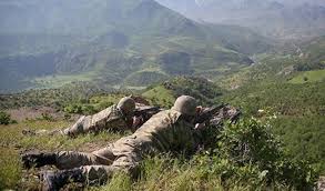 Kars'ta 'Yeşil Liste'deki Terörist Etkisiz Hale Getirildi