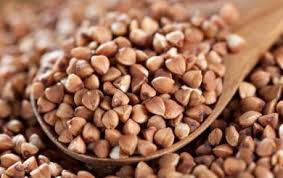 Üzümlü'de Greçka Yetiştirildi