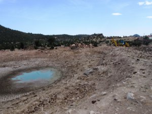 Sıcak Hava Meralardaki Hayvanları Olumsuz Etkiledi