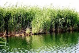 Kars'taki Doğa Güzellikleri Görenleri Büyülüyor