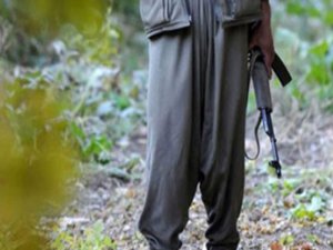 Bitlis'te Bir Terörist Güvenlik Güçlerine Teslim Oldu