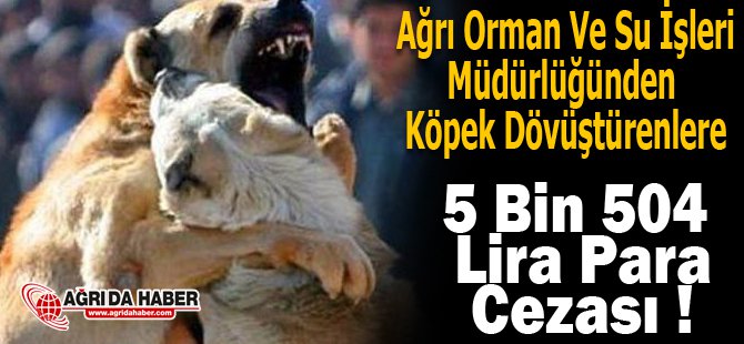 Köpek Dövüştürenlere Orman Su İşlerinden Ceza