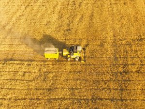 Türkiye İle Katar Tarımda 5 Yıl İş Birliği Yapacak