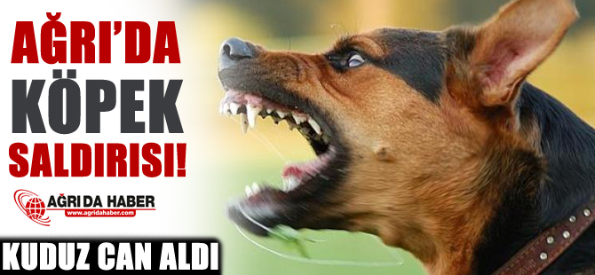 Ağrı'da Köpek Saldırısı Sonucu 1 Kişi Hayatını Kaybetti