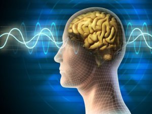 Beyni Her Anınızda Zinde Tutmanın Yolları