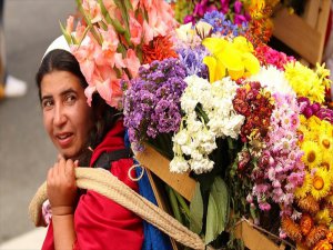 Kolombiya'daki Medellin Çiçek Festivali Sona Erdi