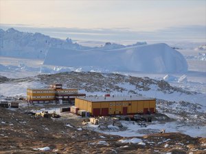 Antarktika'nın Mikropları Virüslerin Evrimine Işık Tutabilir