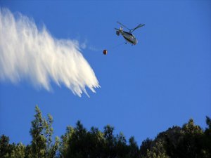 Türkiye Gürcistan'a Yangınla Mücadele Desteği Verdi