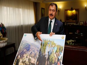 Orman Yangınlarında 8 Bin Hektar Alan Zarar Gördü