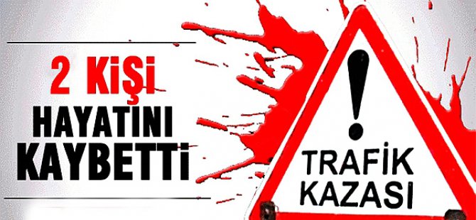 Ağrı'da Minübüs Şöförü köpeğe çarpamak için manevra yaptı Kazada: 2 Ölü, 9 Yaralı