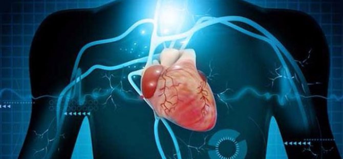 İnsan Vücudunun İçini Gösteren Kamera Geliştirildi