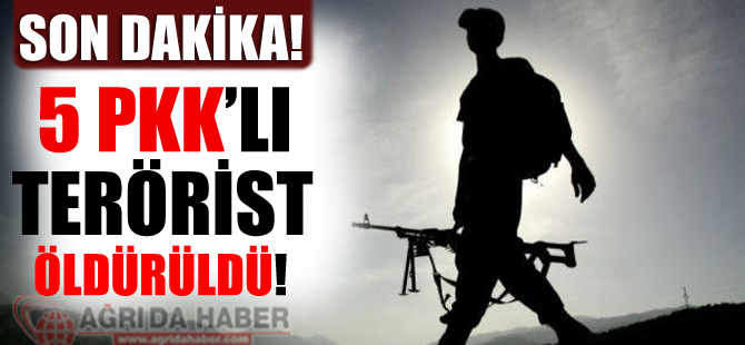 Tendürek Dağında 5 Terörist Etkisiz Hale Getirildi!