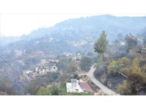 Muğla'daki Orman Yangını Kontrol Altına Alındı