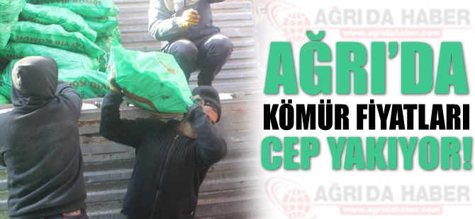 Ağrı'da Kömür Fiyatları Cep Yakıyor