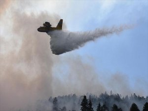 Bilecik'e Sıçrayan Orman Yangını Etkisini Sürdürüyor