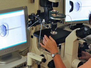 'Obezite Tüp Bebek Tedavisini Olumsuz Etkiliyor'