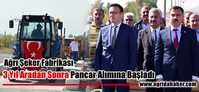 Ağrı Şeker Fabrikası 3 Yıl aradan sonra Pancar Alımına Başladı