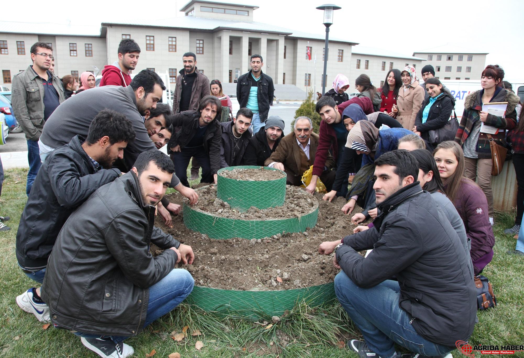 AĞRI İBRAHİM ÇEÇEN ÜNİVERSİTESİ ÖĞRENCİLERİ KAMPÜS ALANINA LALE DİKTİ AĞRI İBRAHİM ÇEÇEN ÜNİVERSİTESİ ÖĞRENCİLERİ KAMPÜS ALANINA LALE DİKTİ